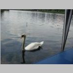 2013-07-05 - 16-20-52.JPG